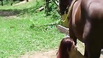 Zoo porno video: final fantasy porno girl and dog