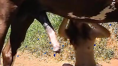 Dog teen girls: my wife oral sex in dog