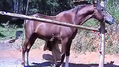 Dog teen girls: my wife oral sex in dog
