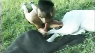Boy girl dog: sex with an anthropomorphic animal video