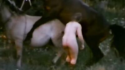 Girl playing dog: bestiality pregnant impregnation hentai video