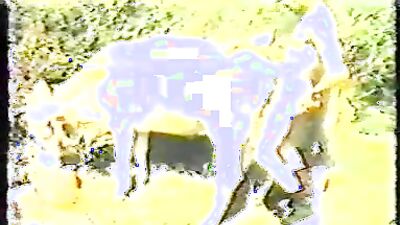 Dog sex porno: sex xxx zoo dog 2026