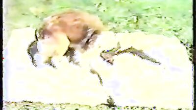 Dog sex porno: sex xxx zoo dog 2026