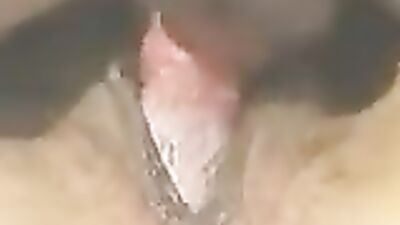 Dog girl porn: little girls suck dog