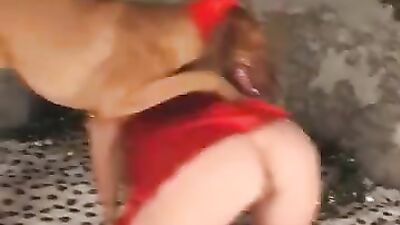 Animal zoo sex: new dog sex porn
