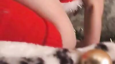 Animal zoo sex: new dog sex porn
