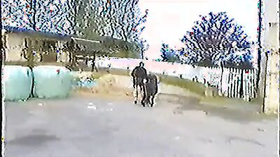 Sex animal's: zoo sex tube