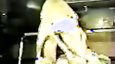 Animal sex: dog creampie zoo porn