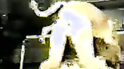 Animal sex: dog creampie zoo porn