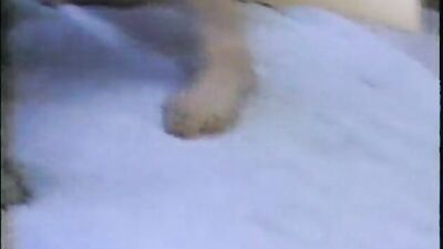 Dog fuck porn: horse porn zoo feral