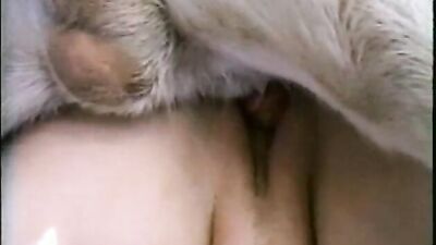Dog fuck porn: horse porn zoo feral
