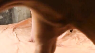 Sex animal's: stallion fury unmasked porn zoo