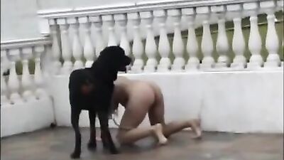 Bestiality hentai: nadja and dog porn