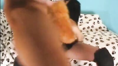 Gay zoo porn: shemale bestiality