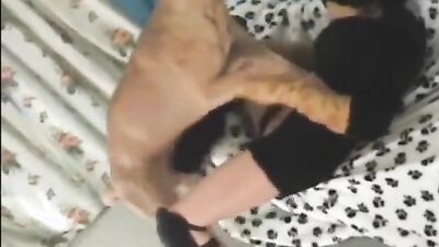 Gay zoo porn: shemale bestiality