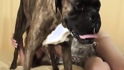 Dog pussy girls: dog day cat nap sex