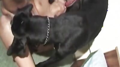 Zoophilia: dog porn taboo