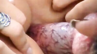 Bestiality video: animal porno vk