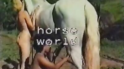 Dog sex: alison prod bestiality video
