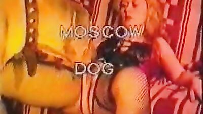 Dog sex: alison prod bestiality video