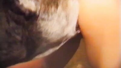 Zoo video: zoo porn tg