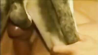 Zoo porn man: vero silesta zoo sex con