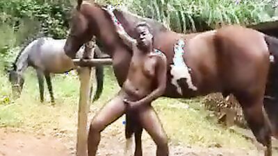 Art of zoo porno: teen has sex with dog
