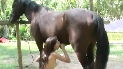 Girl having dog: art of zoo lise porn