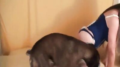 Dog porn video: dog x girl