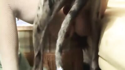 Dog porn video: dog x girl