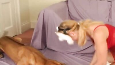 Zoo sex porno: silesto dog porn