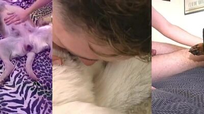Zoo fuck porn: dog sex foto