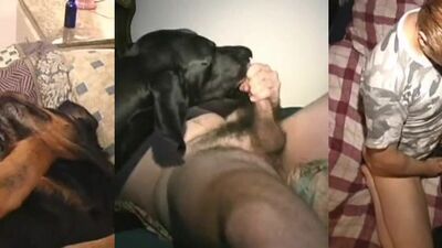 Zoo dog sex: bestiality nsfw games