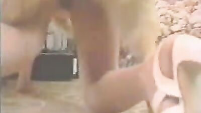 3d dog porn: dog porn tv