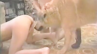 3d dog porn: dog porn tv