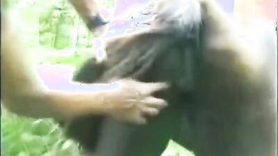 Dog porn video: 3d zoo sex fullmetaldude