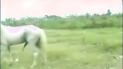 Dog porn video: 3d zoo sex fullmetaldude