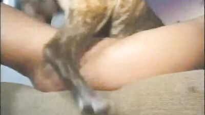 2 dogs 1 girl: dog sex links