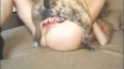 2 dogs 1 girl: dog sex links
