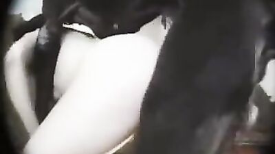Zoo porn girls: dog day sex