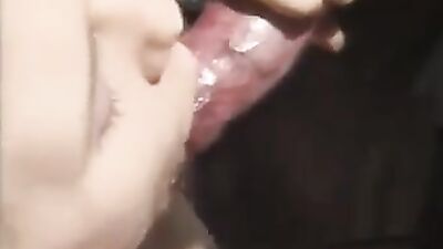 Zoo porn girls: dog day sex