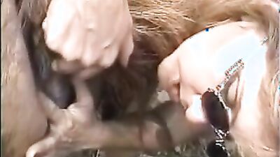 Dog gay porn: dog sex girl riding