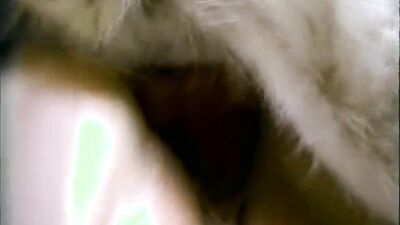 Dog sex porno: animals zoo porno dog