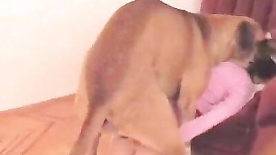 Bestiality: freaky animal sex