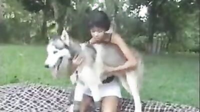 Bestiality hentai: dog doing girl