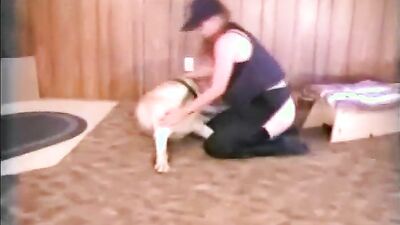 Dog's porn: zoo porn gay dogs