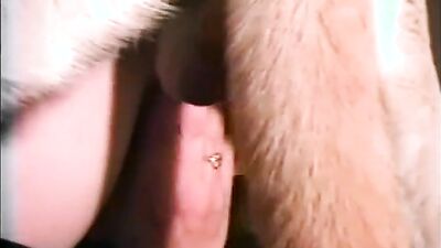Dog's porn: zoo porn gay dogs