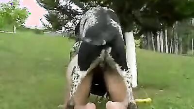 Bestiality: old vintage missionary dog porn