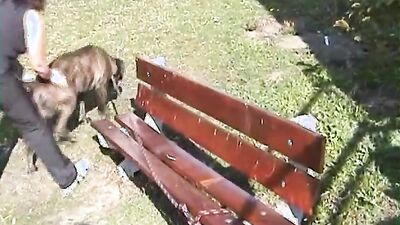 Best dog girl: zoo sex films