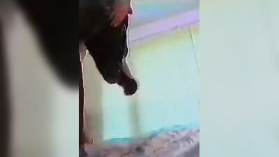 Sex animal's: dog fuck girl animation